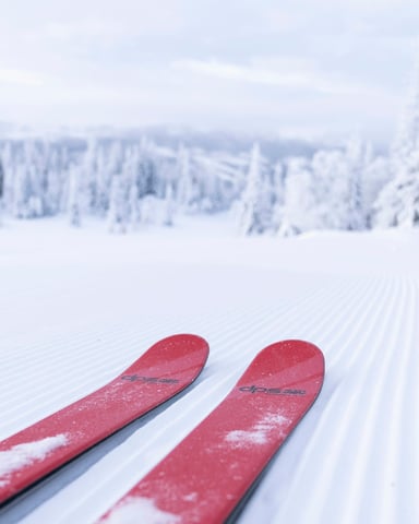 Ski From the Door