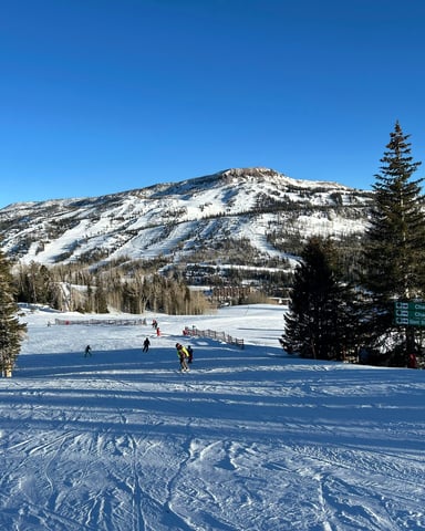 No Snowboarders