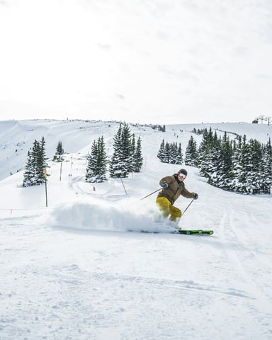 Straight to the Snow