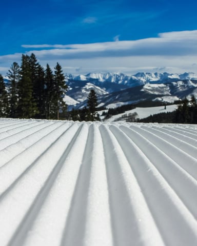 Grooming and Ski Valet